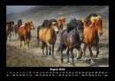 Pferdetraum Fotokalender 2026 - 8