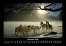 Hunde Fotokalender 2026 - 12