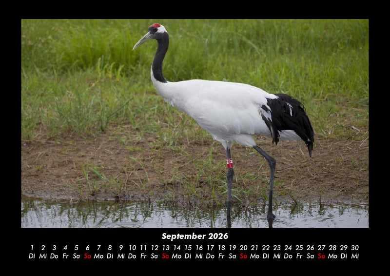 Welt der Tiere Fotokalender 2026 - 9
