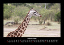 Welt der Tiere Fotokalender 2026 - 2