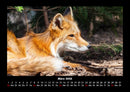 Welt der Tiere Fotokalender 2026 - 3