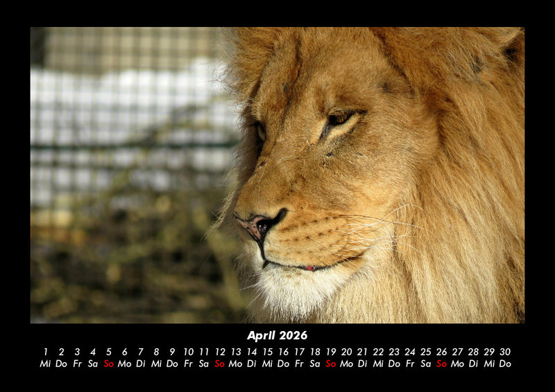 Welt der Tiere Fotokalender 2026 - 4