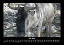 Welt der Tiere Fotokalender 2026 - 7