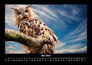 Vögel Fotokalender 2026 - 5