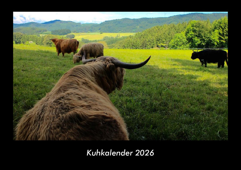 Kuhkalender Fotokalender 2026 - Hauptbild