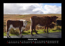 Kuhkalender Fotokalender 2026 - 2