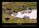 Kuhkalender Fotokalender 2026 - 3