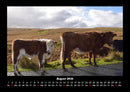 Kuhkalender Fotokalender 2026 - 8