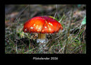 Pilzkalender Fotokalender 2026 - Hauptbild