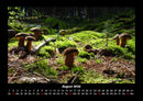 Pilzkalender Fotokalender 2026 - 8