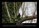 Bilder aus der Natur Fotokalender 2026 - 9