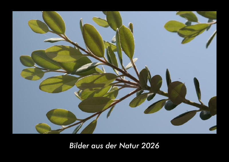 Bilder aus der Natur Fotokalender 2026 - Hauptbild