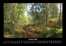 Bilder aus der Natur Fotokalender 2026 - 1