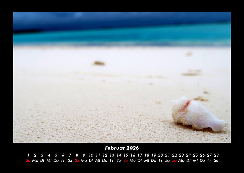 Bilder aus der Natur Fotokalender 2026 - 2