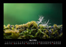 Bilder aus der Natur Fotokalender 2026 - 4