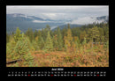 Bilder aus der Natur Fotokalender 2026 - 6
