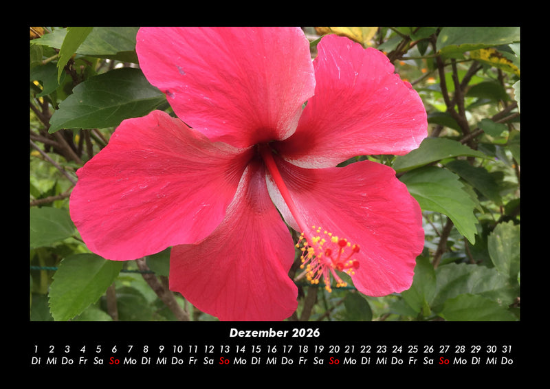 Fernweh Fotokalender 2026 - 12