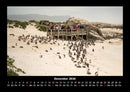 Pinguine & Eisbären Fotokalender 2026 - 12