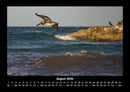 Meereslandschaft Fotokalender 2026 - 8