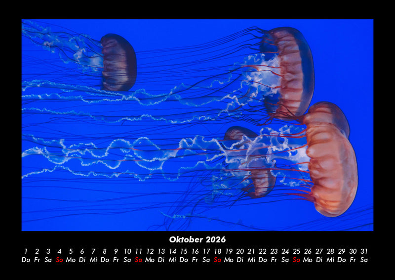 Tierkalender Fotokalender 2026 - 10
