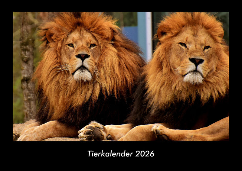 Tierkalender Fotokalender 2026 - Hauptbild