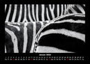 Tierkalender Fotokalender 2026 - 1