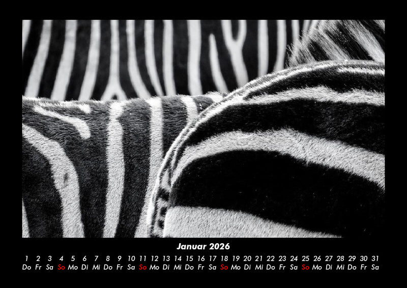Tierkalender Fotokalender 2026 - 1