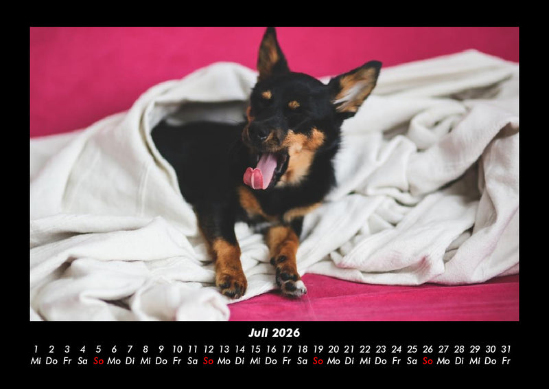 Tierkalender Fotokalender 2026 - 7