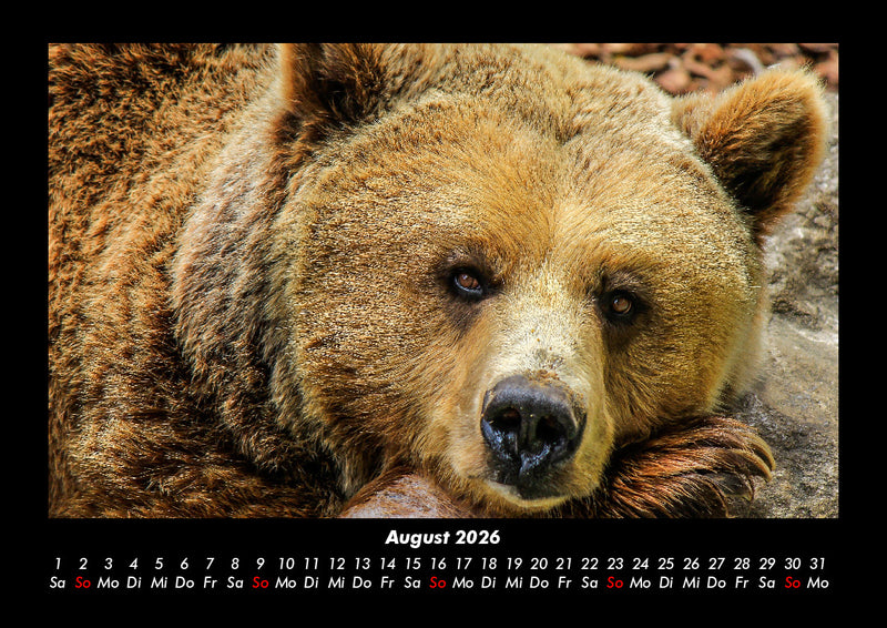 Tierkalender Fotokalender 2026 - 8