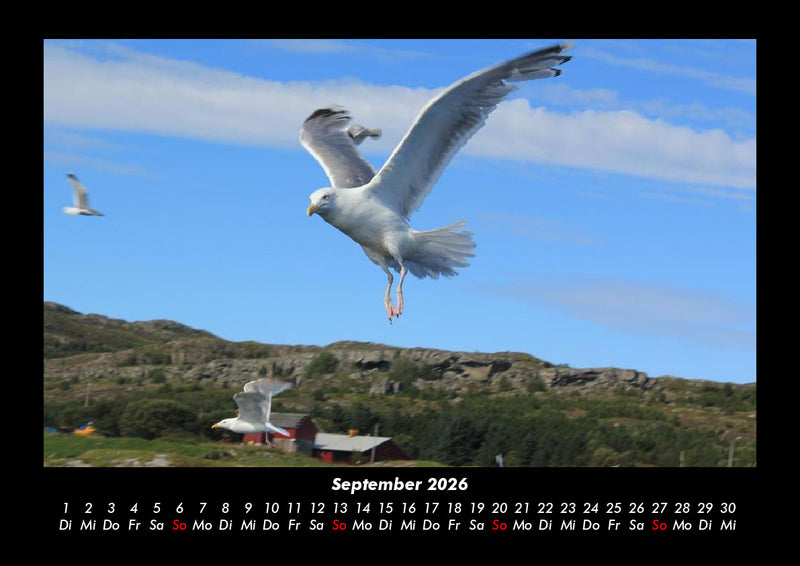 Nordsee Fotokalender 2026 - 9