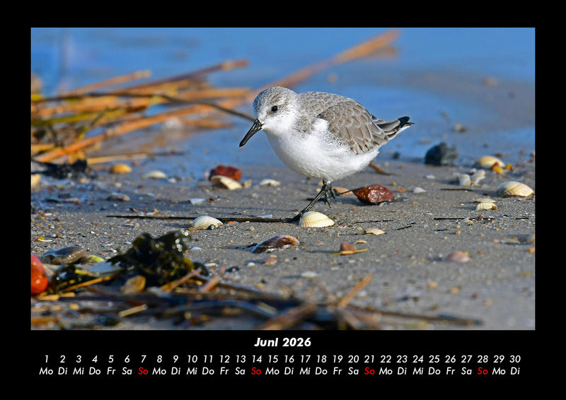 Nordsee Fotokalender 2026 - 6
