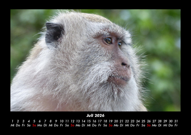Bali Fotokalender 2026 - 7