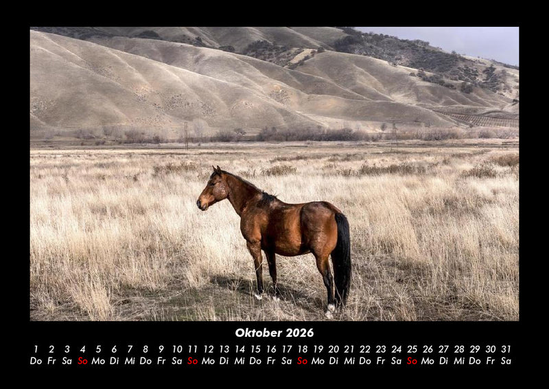 Die Welt der Pferde Fotokalender 2026 - 10