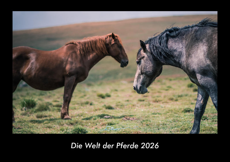 Die Welt der Pferde Fotokalender 2026 - Hauptbild