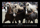 Die Welt der Pferde Fotokalender 2026 - 4