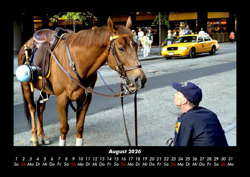 Die Welt der Pferde Fotokalender 2026 - 8