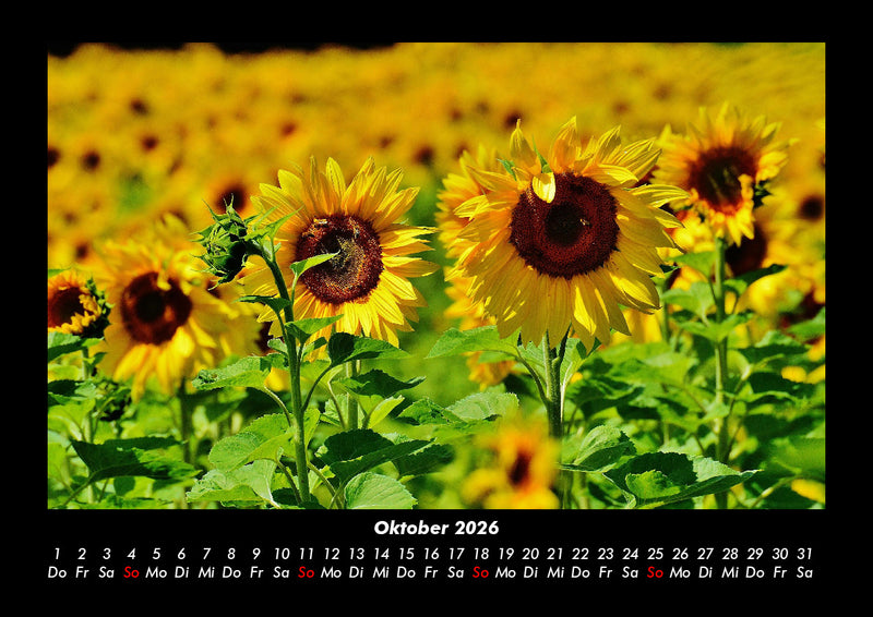 Blumenkalender Fotokalender 2026 - 10