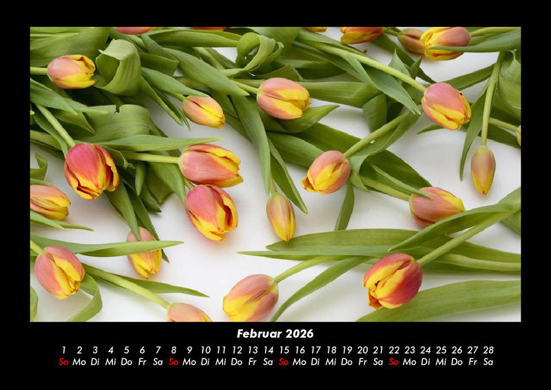 Blumenkalender Fotokalender 2026 - 2