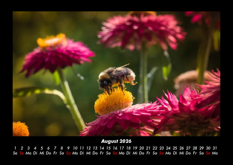 Blumenkalender Fotokalender 2026 - 8
