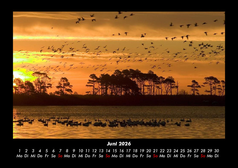 Sonnenuntergänge Fotokalender 2026 - 6
