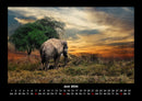 Elefanten Fotokalender 2026 - 6