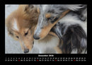 Hunde Fotokalender 2026 - 12