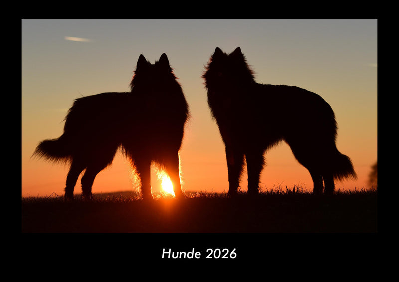 Hunde Fotokalender 2026 - Hauptbild