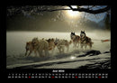 Hunde Fotokalender 2026 - 6