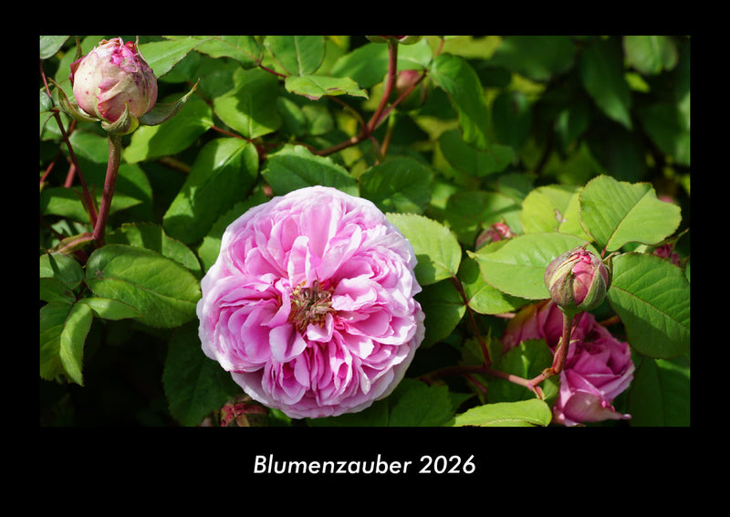 Blumenzauber Fotokalender 2026 - Hauptbild