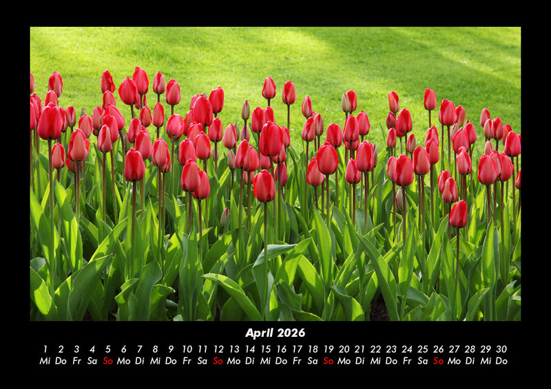 Blumenzauber Fotokalender 2026 - 4