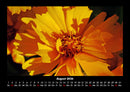Blumenzauber Fotokalender 2026 - 8