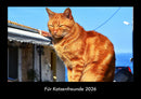 Für Katzenfreunde Fotokalender 2026 - Hauptbild