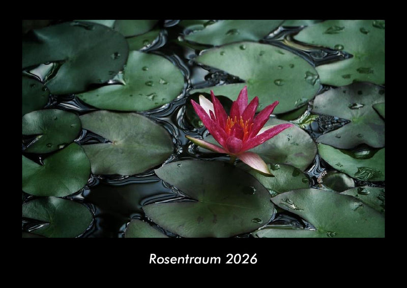 Rosentraum Fotokalender 2026 - Hauptbild