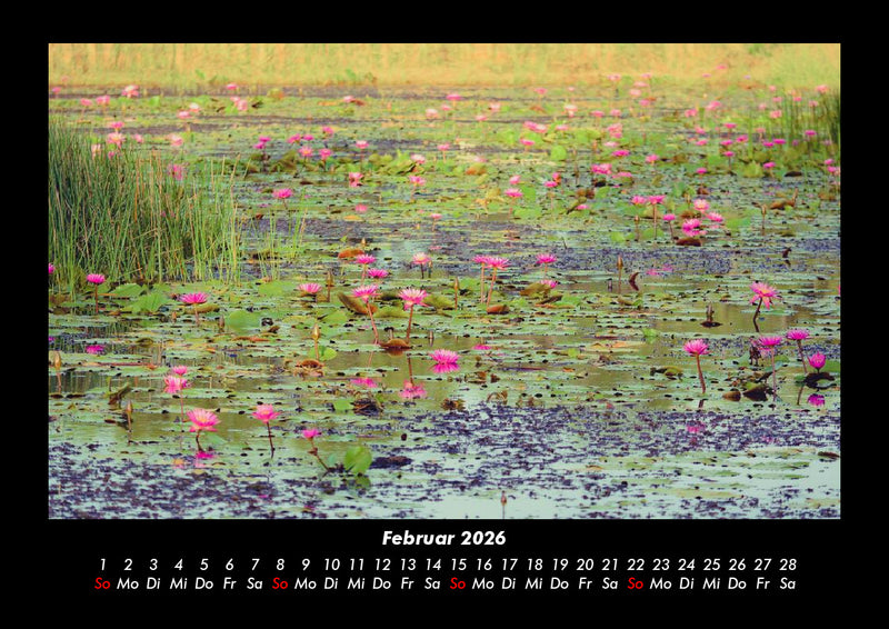 Rosentraum Fotokalender 2026 - 2